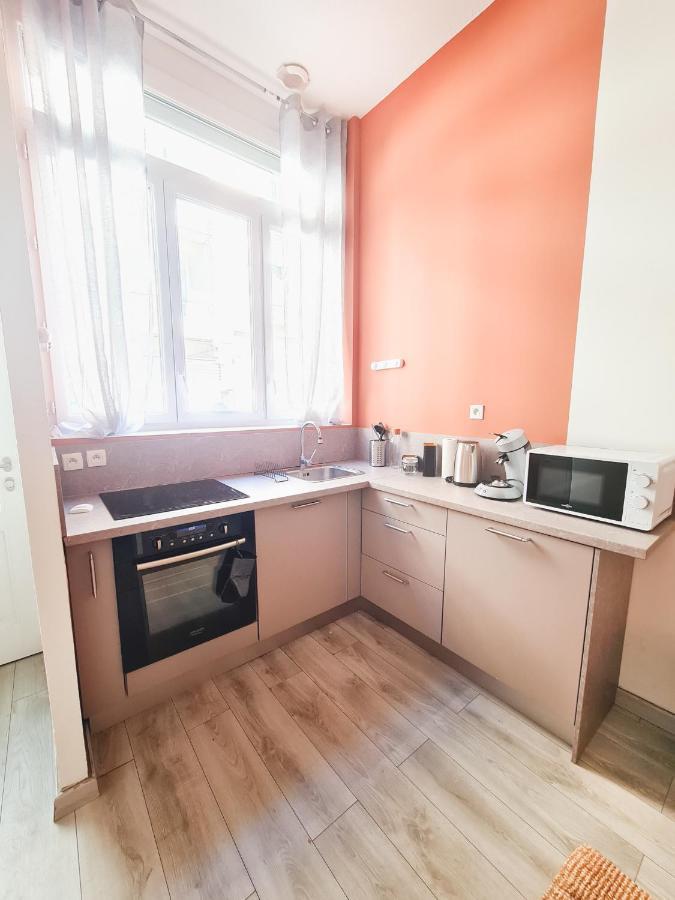 Le Zola - Appartement Spacieux - グルノーブル エクステリア 写真